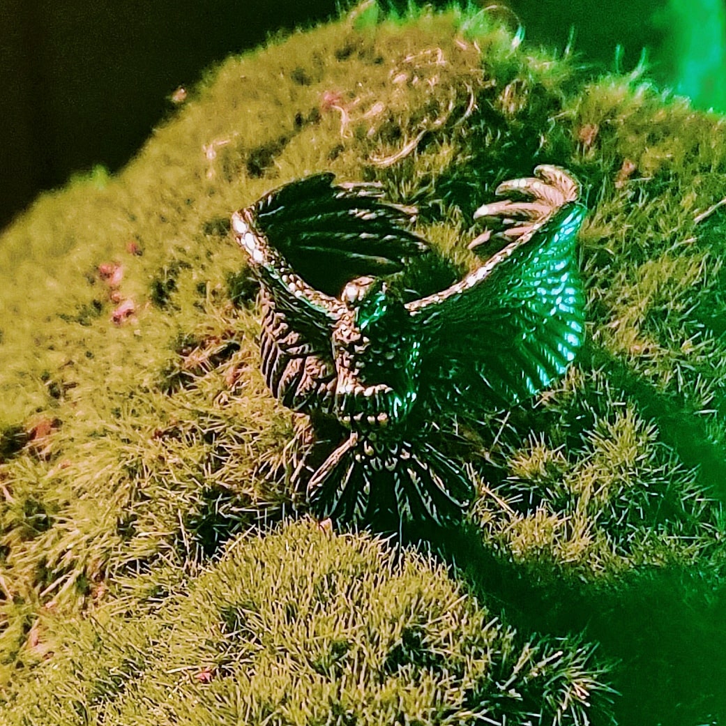 Anillo VEDRFOLNIR